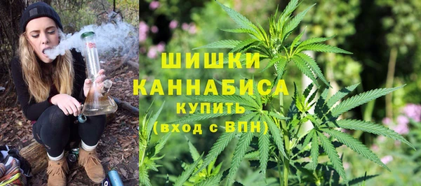дмт Белокуриха