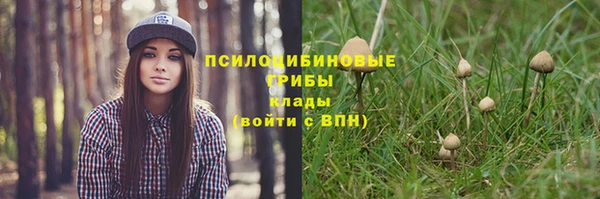 дмт Белокуриха
