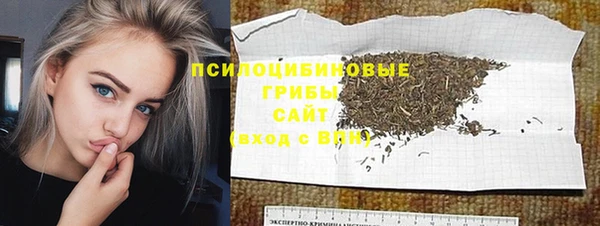 дмт Белокуриха