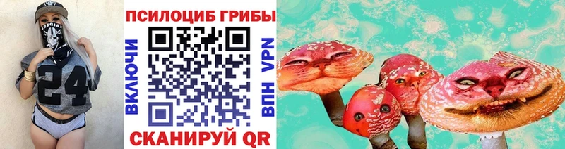Галлюциногенные грибы Psilocybine cubensis  Михайлов 